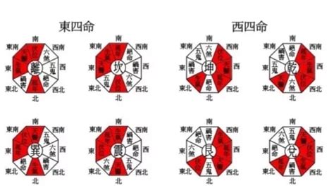 西四命的人|八宅風水講解：什么是東四命與西四命？